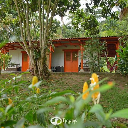 Tinamu Birding Hotel La Manuelita Kültér fotó