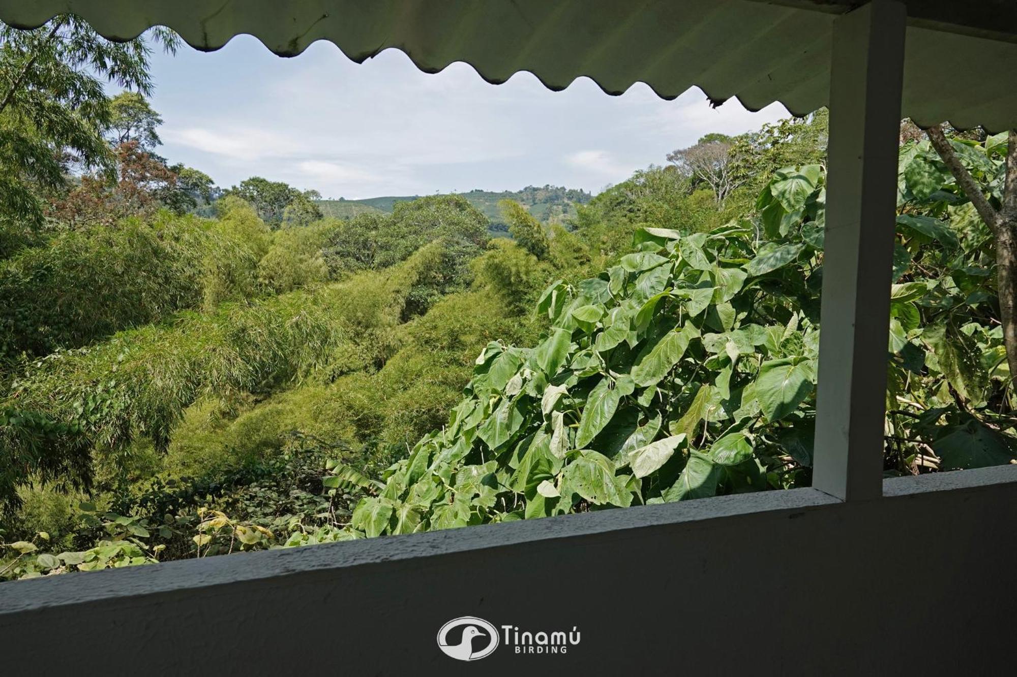 Tinamu Birding Hotel La Manuelita Kültér fotó