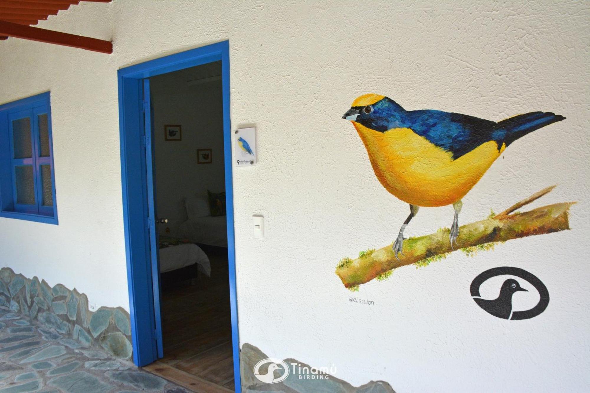 Tinamu Birding Hotel La Manuelita Kültér fotó